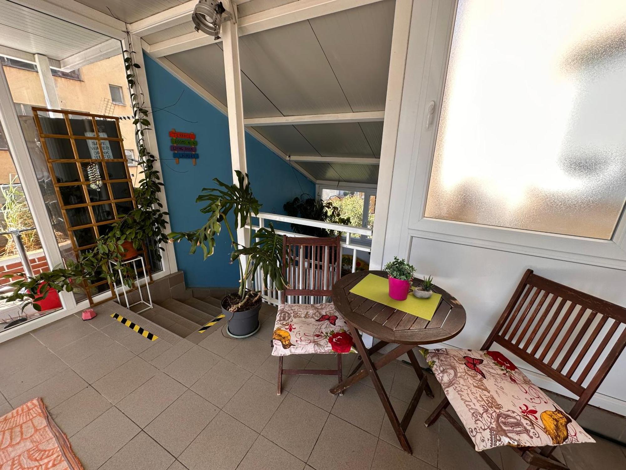 Hostel Crazy House